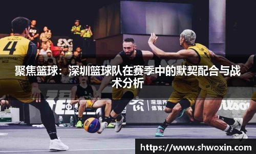 聚焦篮球：深圳篮球队在赛季中的默契配合与战术分析