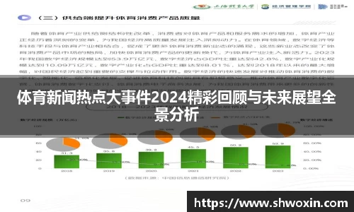 体育新闻热点大事件2024精彩回顾与未来展望全景分析