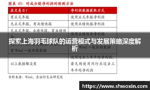 探索上海羽毛球队的运营模式与发展策略深度解析